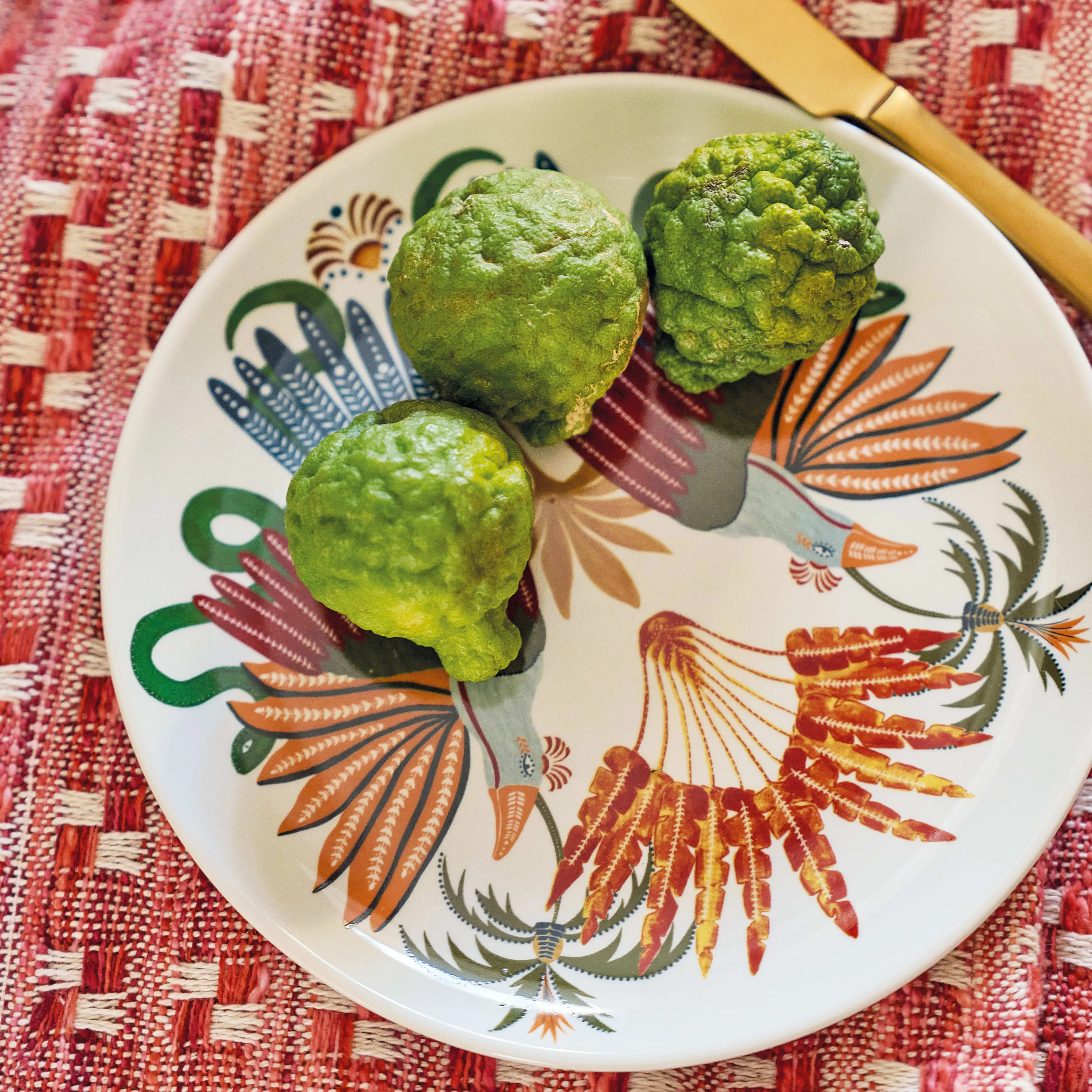 Assiettes plates en céramique motif tropical multicolore