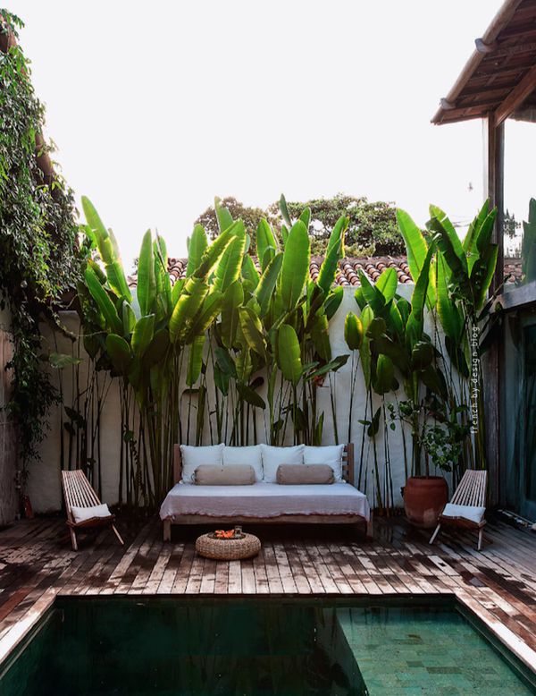 Trouvez Votre Coin de Paradis sur la Terrasse