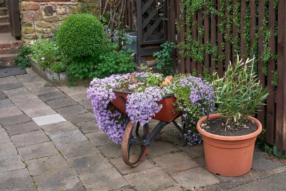Créer un Jardin Vintage Élégant à Petit Prix