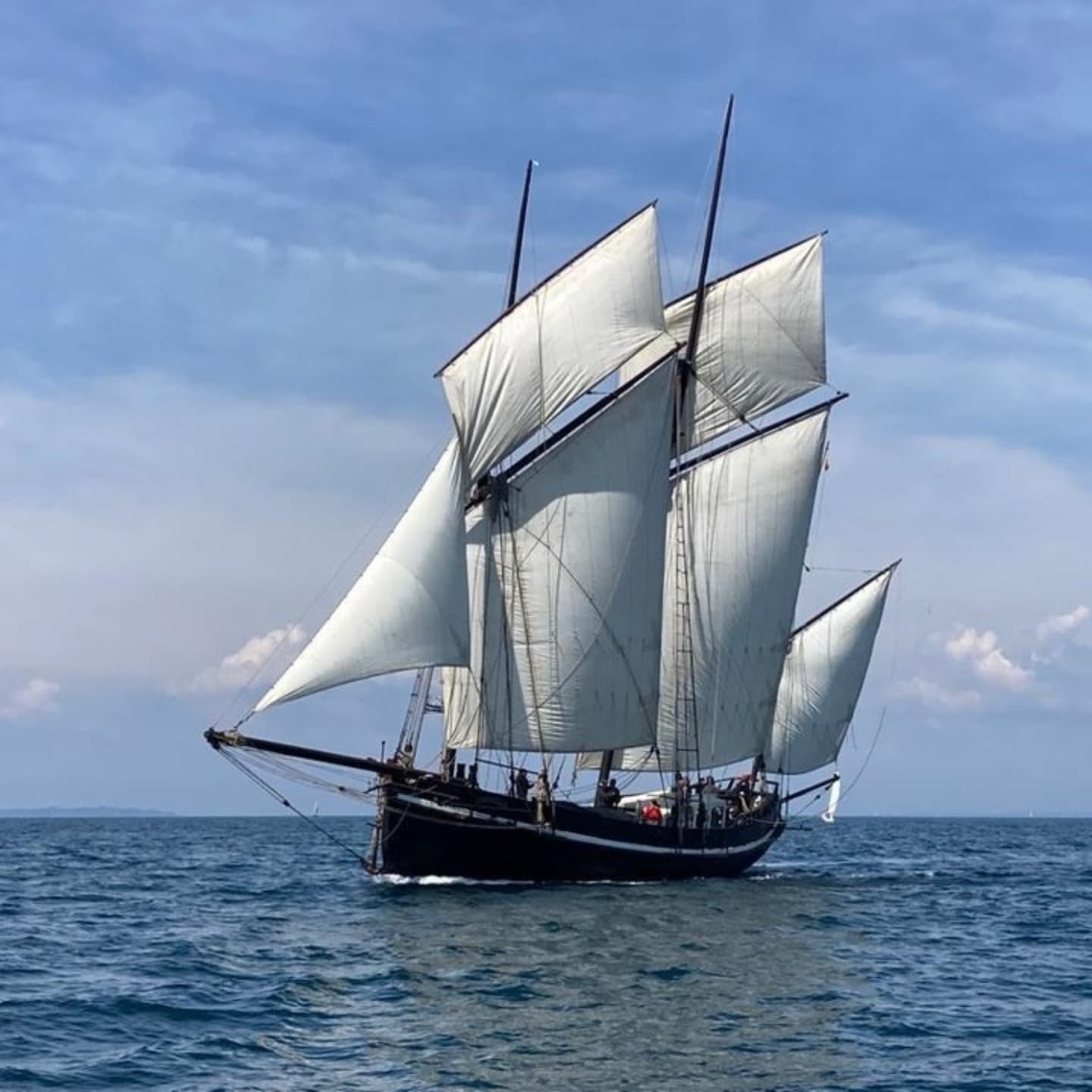 Semaine du Golfe 2025 : Célébration Maritime en Bretagne