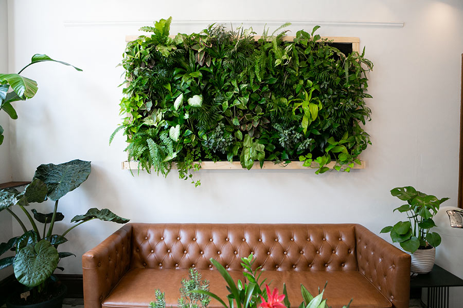 Inspirations pour créer un beau jardin vertical à la maison