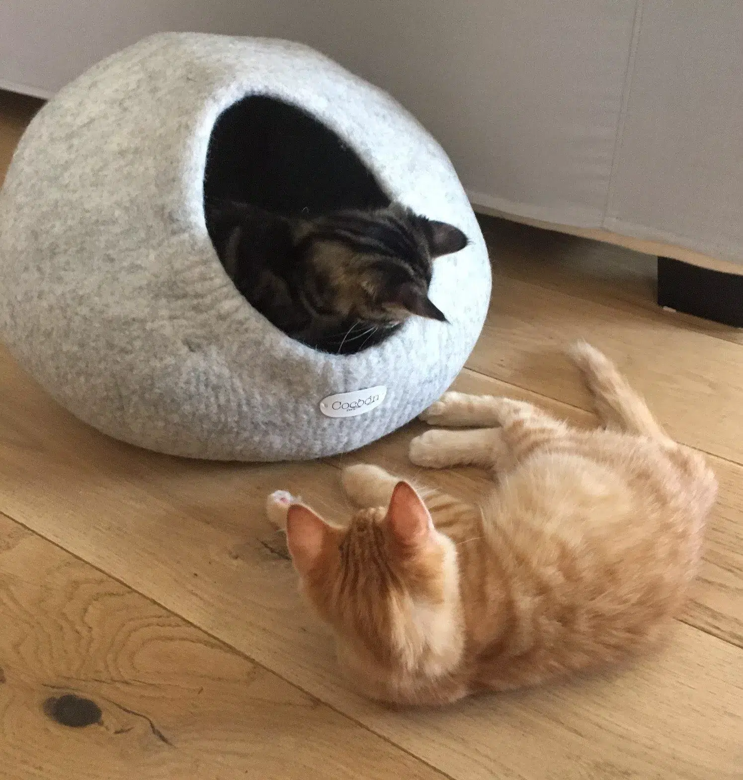 Pets : Meubles Design pour Chiens et Chats : Créez un Élégant Espace de Détente