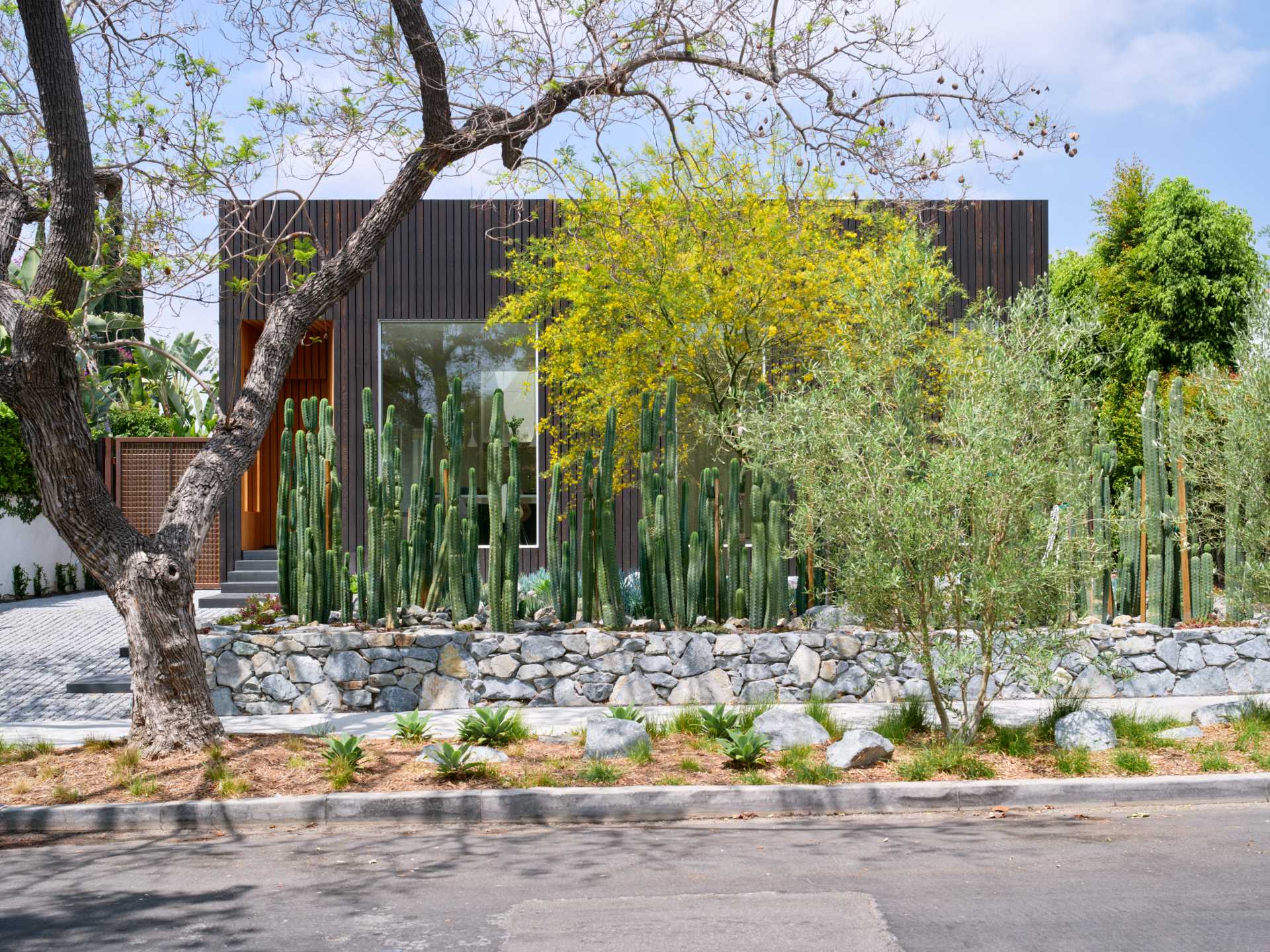 Des cactus ont été utilisés pour préserver l&rsquo;intimité de cette maison à Los Angeles.