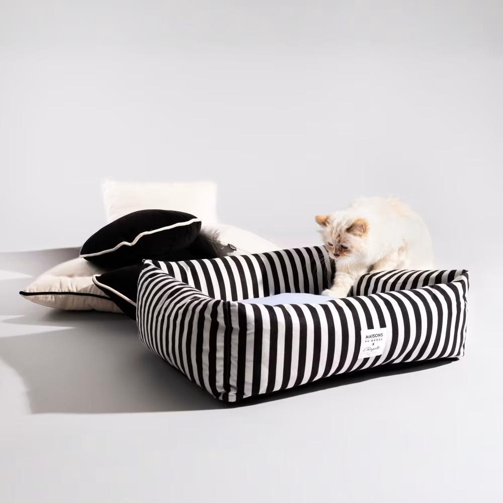 La collaboration Choupette x Maisons du Monde 