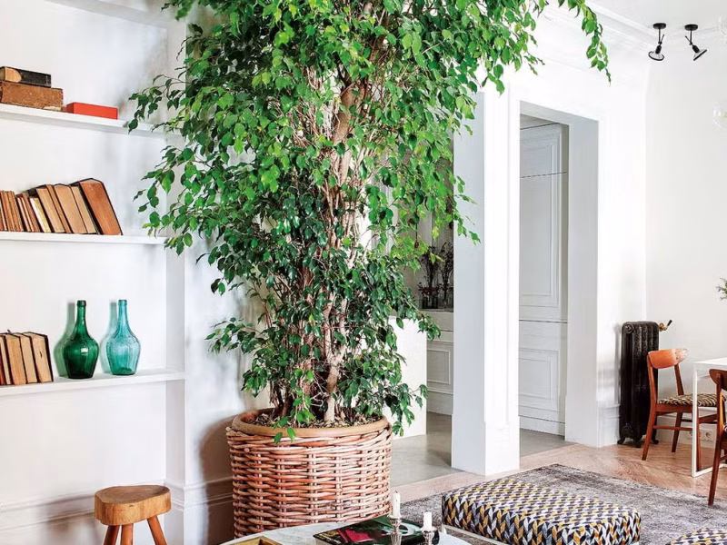 Comment décorer un petit salon avec des paniers en osier