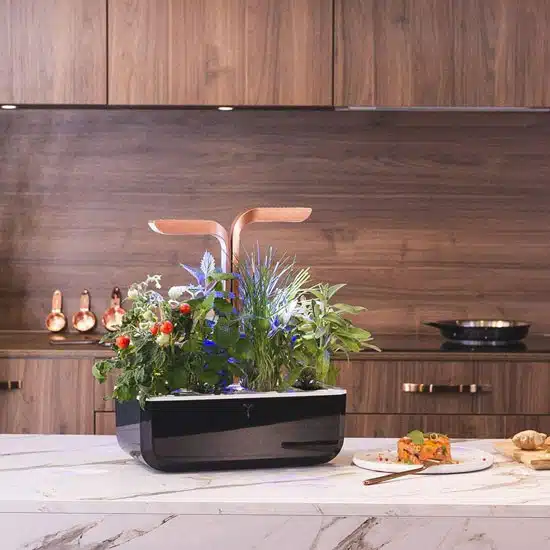 Un potager d’intérieur pour cultiver chez soi toute l’année