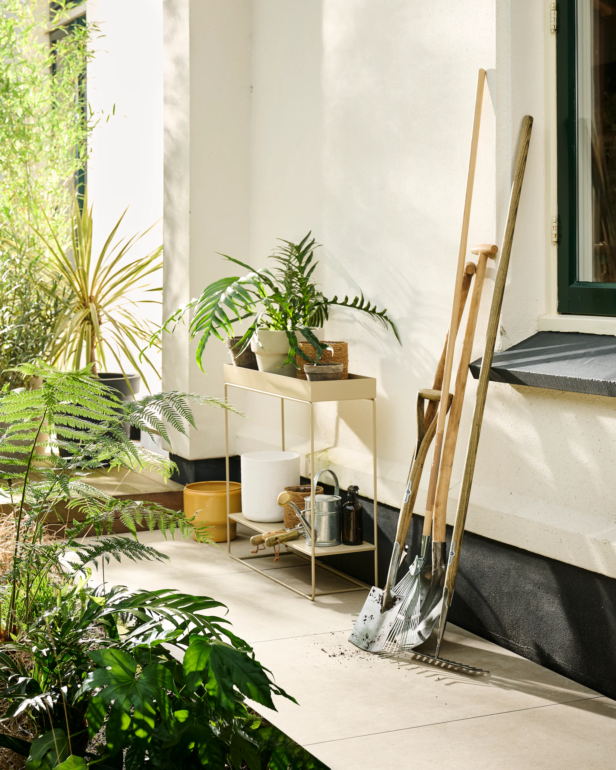 Nettoyer le jardin ? Éliminez ces 10 choses