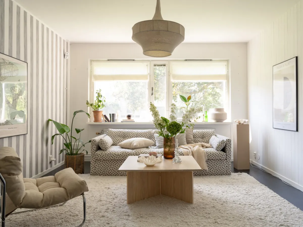 Un grand studio de 44m2 décoré avec goût