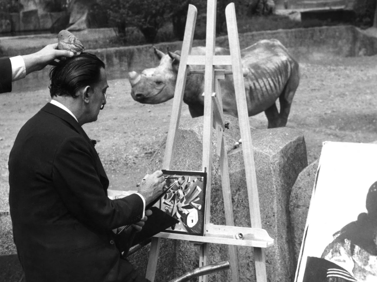 https://www.beauxarts.com/expos/de-rousseau-a-dali-comment-le-museum-national-dhistoire-naturelle-est-devenu-le-terrain-de-chasse-des-artistes/
